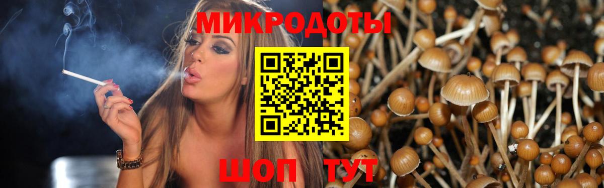 Галлюциногенные грибы мицелий  Вход с VPN  где можно купить   Ейск 